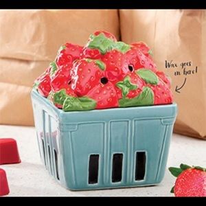 NIB Strawberry Basket Warmer